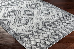 Napoli NPO-2304 9' x 12' Handmade Rug NPO2304-912  Beige, Brown, Tan Surya