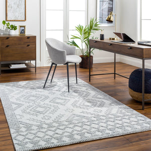 Napoli NPO-2306 9' x 12' Handmade Rug NPO2306-912  White, Light Slate, Black Surya