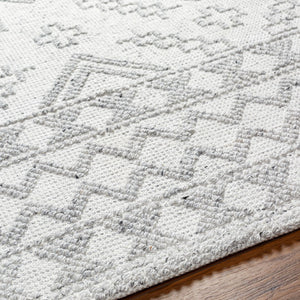 Surya Napoli Handmade 2' X 3' Bohemian Rug | Eco-friendly, Cozy & Unique Global Style For Your Home Decor White Recycled Pet Yarn Npo2306-23