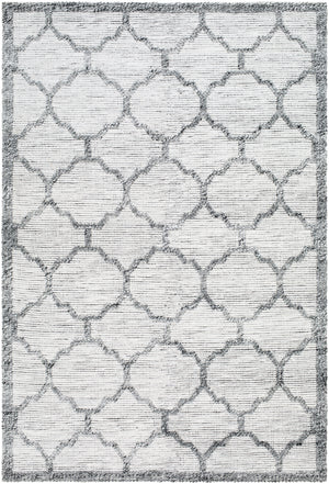 Napoli NPO-2307 9' x 12' Handmade Rug NPO2307-912  Ivory, Light Slate, Black Surya