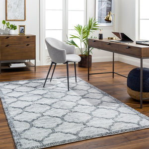 Napoli NPO-2307 9' x 12' Handmade Rug NPO2307-912  Ivory, Light Slate, Black Surya