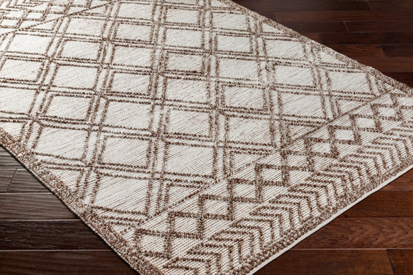 Napoli NPO-2308 9' x 12' Handmade Rug NPO2308-912  Beige, Dark Brown Surya