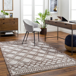 Napoli NPO-2308 9' x 12' Handmade Rug NPO2308-912  Beige, Dark Brown Surya