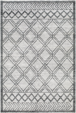 Napoli NPO-2309 9' x 12' Handmade Rug NPO2309-912  White, Light Slate, Black, Gray Surya