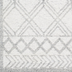 Napoli NPO-2310 9' x 12' Handmade Rug NPO2310-912  White, Light Slate, Black Surya