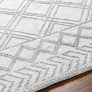 Napoli NPO-2310 9' x 12' Handmade Rug NPO2310-912  White, Light Slate, Black Surya