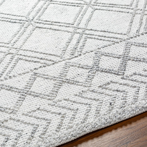 Surya Napoli Handmade 2' X 3' Bohemian Rug | Eco-friendly, Cozy & Unique Global Style For Your Home Decor White Recycled Pet Yarn Npo2310-576