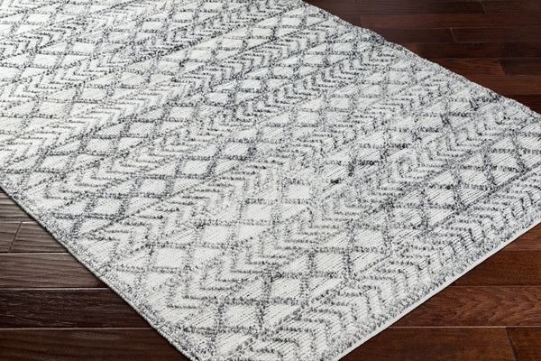 Napoli NPO-2311 9' x 12' Handmade Rug NPO2311-912  Light Gray, Light Slate, White, Black Surya