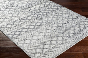 Surya Napoli Handmade 2' X 3' Bohemian Rug | Eco-friendly, Cozy & Unique Global Style For Your Home Decor Light Gray Recycled Pet Yarn Npo2311-23