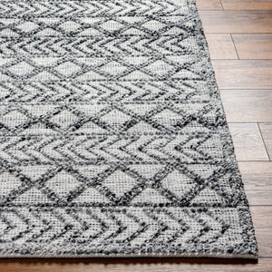 Napoli NPO-2311 9' x 12' Handmade Rug NPO2311-912  Light Gray, Light Slate, White, Black Surya