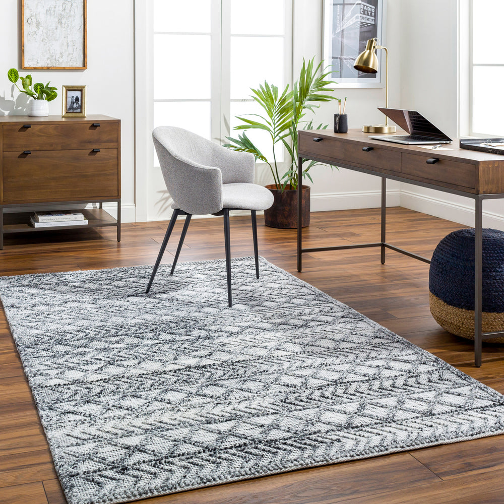 Napoli NPO-2311 9' x 12' Handmade Rug NPO2311-912  Light Gray, Light Slate, White, Black Surya