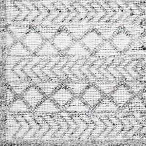 Napoli NPO-2311 9' x 12' Handmade Rug NPO2311-912  Light Gray, Light Slate, White, Black Surya