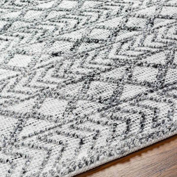 Napoli NPO-2311 9' x 12' Handmade Rug NPO2311-912  Light Gray, Light Slate, White, Black Surya