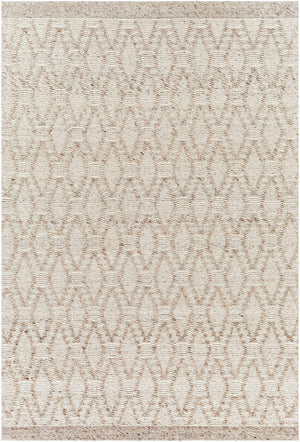 Napoli NPO-2313 9' x 12' Handmade Rug NPO2313-912  Gray, Light Gray, White Surya