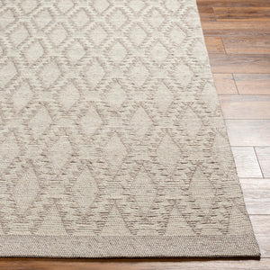Napoli NPO-2313 9' x 12' Handmade Rug NPO2313-912  Gray, Light Gray, White Surya
