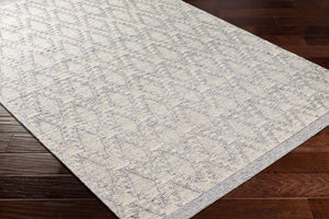 Surya Napoli Handmade 2' X 3' Bohemian Rug | Eco-friendly, Cozy & Unique Global Style For Your Home Decor Gray Recycled Pet Yarn,Wool Npo2314-23