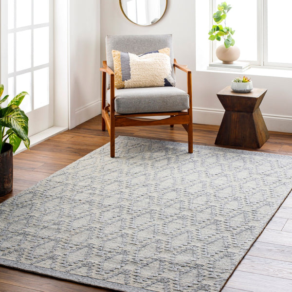 Surya Napoli Handmade 2' X 3' Bohemian Rug | Eco-friendly, Cozy & Unique Global Style For Your Home Decor Gray Recycled Pet Yarn,Wool Npo2314-23