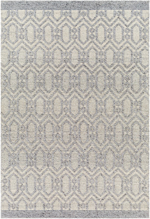 Napoli NPO-2317 9' x 12' Handmade Rug NPO2317-912  Gray, Cream, Black, Beige Surya