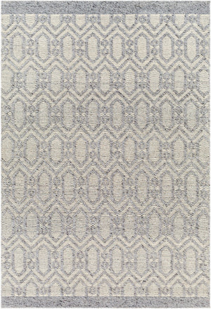 Surya Napoli Handmade 2' X 3' Bohemian Rug | Eco-friendly, Cozy & Unique Global Style For Your Home Decor Gray Recycled Pet Yarn,Wool Npo2317-23