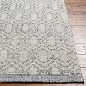 Napoli NPO-2317 9' x 12' Handmade Rug NPO2317-912  Gray, Cream, Black, Beige Surya