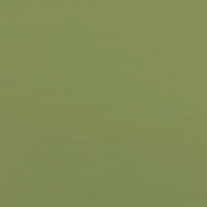 Simple Solid Wood Twin Over Twin Bunk Bed Olive Green SOPB3HOGWP Walker Edison