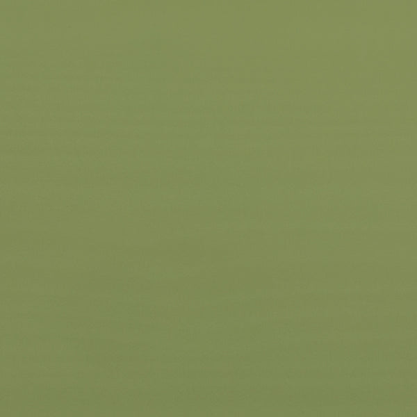 Simple Solid Wood Twin Over Twin Bunk Bed Olive Green SOPB3HOGWP Walker Edison