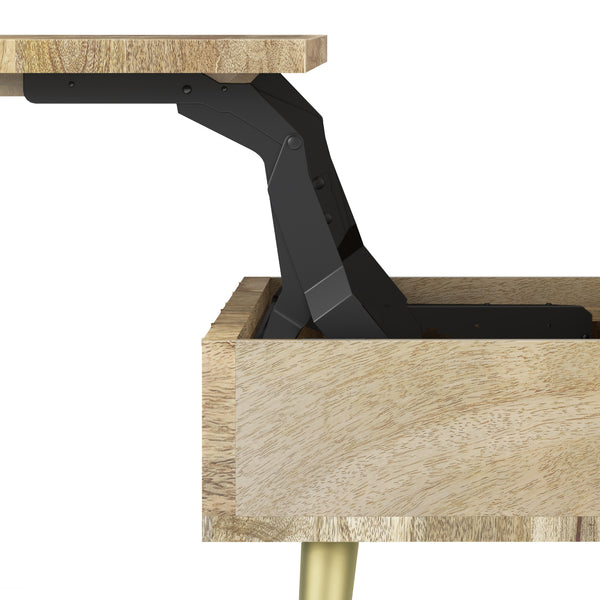 English Elm Jager Lift Top Coffee Table - Handcrafted Natural Mango Wood With Gold Accents & Hidden Storage B136P158756