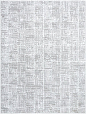 Livabliss Nesta Machine Woven Polyester Area Rug Structured Pattern for High Traffic Living Spaces Light Beige, Iv 5'3" x 7' NST2302-537