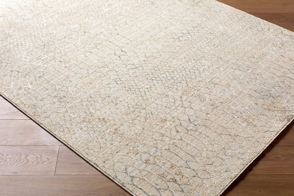Livabliss Nathan Machine Woven Polyester Area Rug with Fringe Mid-century Modern Living Room Accent Light Beige, Cr 2' x 2'11" NTH2301-2211