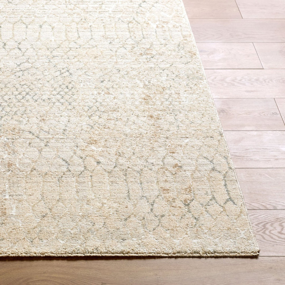 Livabliss Nathan Machine Woven Polyester Area Rug with Fringe Mid-century Modern Living Room Accent Light Beige, Cr 2' x 2'11" NTH2301-2211