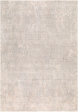 Livabliss Nathan Machine Woven Polyester Area Rug Mid-century Fringe Detail for Living Rooms Cream, Light Br 2' x 2'11" NTH2302-2211