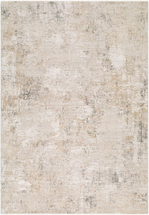 Livabliss Nathan Fringe Trimmed Mid-century Polyester Area Rug for Living Dining Rooms Cream, Light Br 2' x 2'11" NTH2303-2211