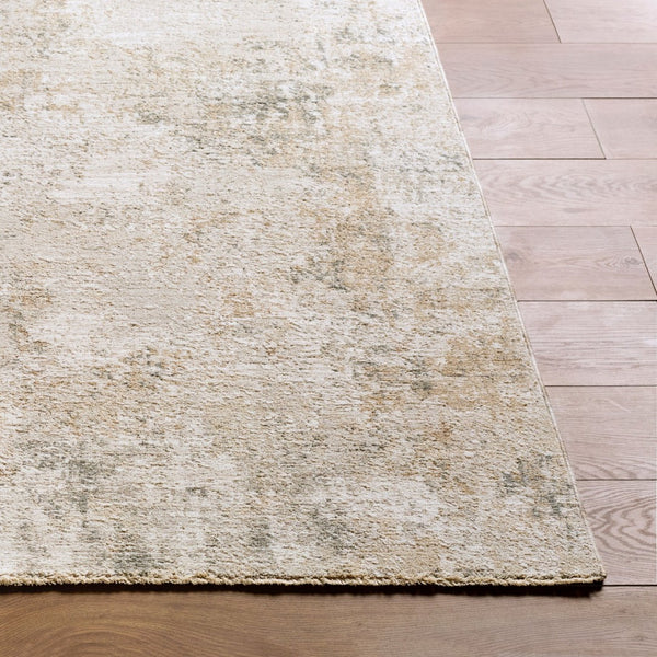 Livabliss Nathan Fringe Trimmed Mid-century Polyester Area Rug for Living Dining Rooms Cream, Light Br 2' x 2'11" NTH2303-2211