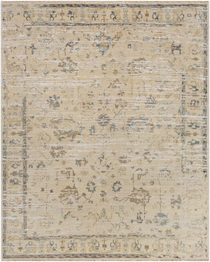 Notting Hill NTL-2300 8' x 10' Handmade Rug NTL2300-810  Taupe, Brown, Charcoal, Oatmeal, Medium Gray Surya