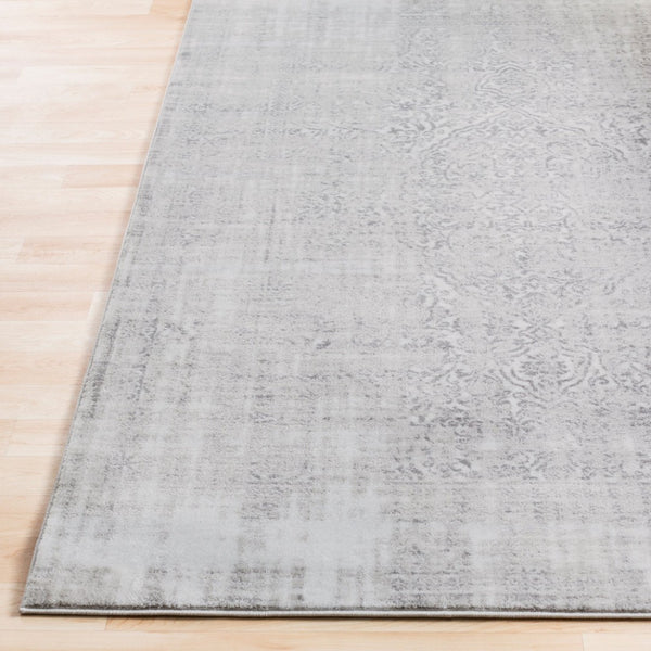 Livabliss Nova Traditional Polypropylene Machine Woven Rug for Entryway Bath or Bedroom NVA3025-223