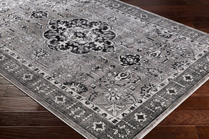 Livabliss Nova Traditional Polypropylene Accent Rug Turkey Woven for Entryway or Bedroom NVA3039-223