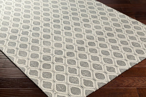 Livabliss Nevada Handwoven Cotton Wool Blend Rug Artisan Crafted for Entryways and Modern Interiors Cream, Black 27" x 45" NVD2300-2745