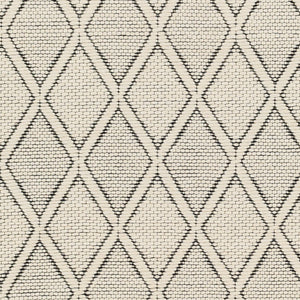 Livabliss Nevada Handwoven Cotton Wool Area Rug Artisan Crafted Plush Accent for Entryway Hallway Cream, Black 27" x 45" NVD2303-2745
