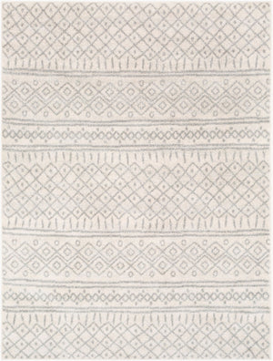 Livabliss Norwich Geometric Area Rug Turkish Machine Woven Polypropylene for Living Room Medium Gray, Sl 8'10" x 12' NWC2303-81012