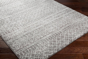 Livabliss Norwich Polypropylene Area Rug Turkey Woven Medium Pile Living Room Accent NWC2304-710103