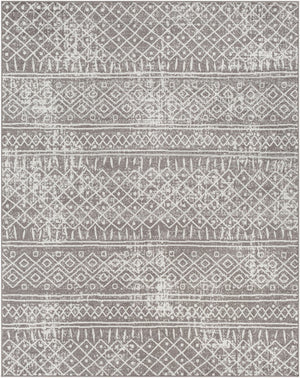 Livabliss Norwich Polypropylene Area Rug Turkey Woven Medium Pile Living Room Accent NWC2304-710103
