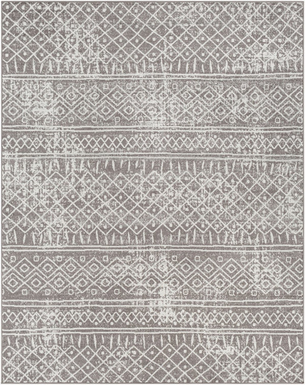 Livabliss Norwich Polypropylene Area Rug Turkey Woven Medium Pile Living Room Accent NWC2304-710103