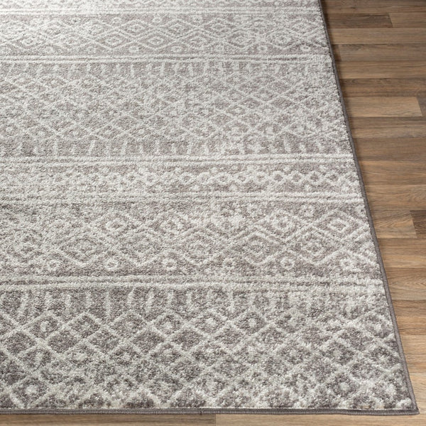 Livabliss Norwich Polypropylene Area Rug Turkey Woven Medium Pile Living Room Accent NWC2304-710103