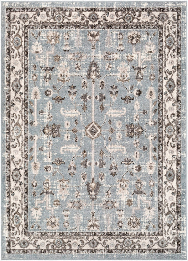Livabliss Norwich Traditional Area Rug Polypropylene Woven in Turkey for Living Room NWC2315-5373