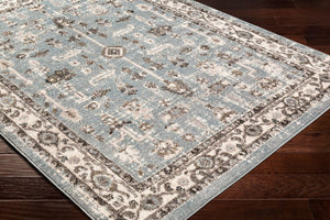 Livabliss Norwich Traditional Area Rug Polypropylene Woven in Turkey for Living Room NWC2315-5373