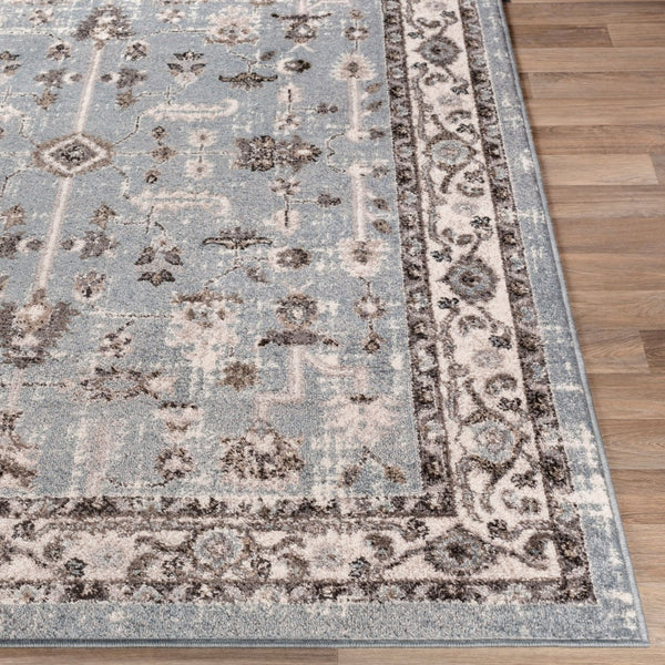 Livabliss Norwich Traditional Area Rug Polypropylene Woven in Turkey for Living Room NWC2315-5373