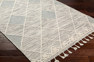 Livabliss Norwood Hand-woven Wool Accent Rug with Fringe Artisan Texture for Entryway Decor Charcoal, Cream 2' x 3' NWD2307-23