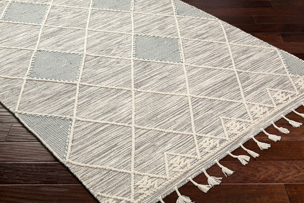 Livabliss Norwood Hand-woven Wool Accent Rug with Fringe Artisan Texture for Entryway Decor Charcoal, Cream 2' x 3' NWD2307-23