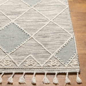 Livabliss Norwood Hand-woven Wool Accent Rug with Fringe Artisan Texture for Entryway Decor Charcoal, Cream 2' x 3' NWD2307-23