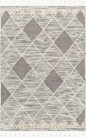 Livabliss Norwood Handwoven Wool Flatweave Rug with Fringe Boho Accent for Entryway or Bedside Black, Cream 2' x 3' NWD2308-23